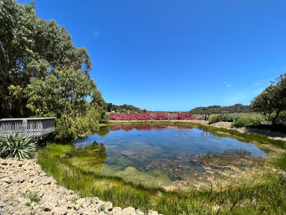Daysy Hill Country Cottages Port Campbell Εξωτερικό φωτογραφία