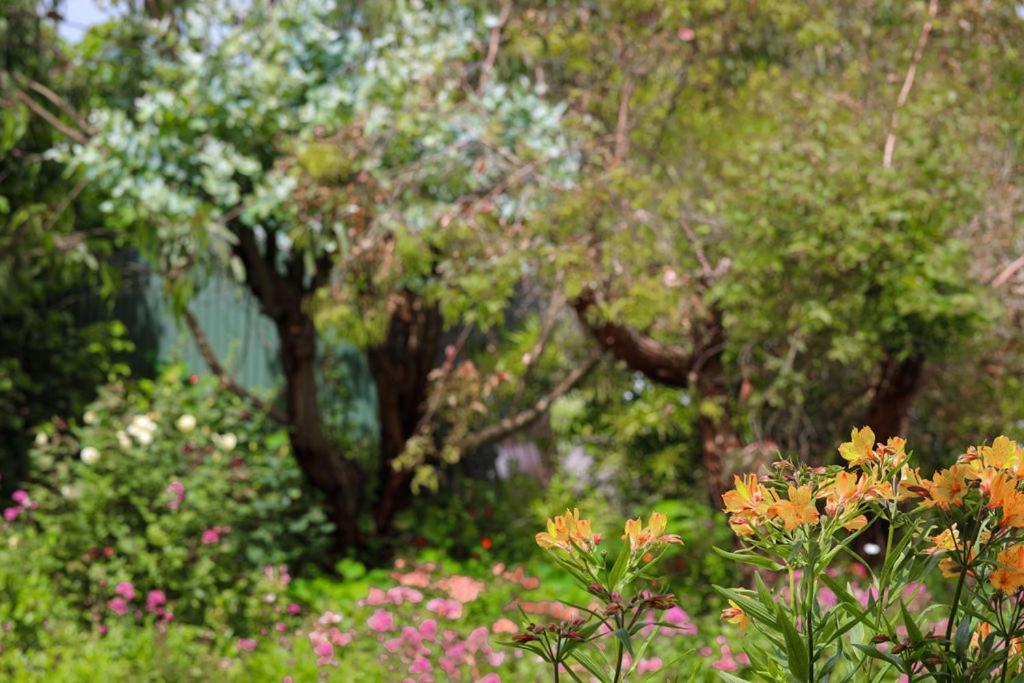 Daysy Hill Country Cottages Port Campbell Εξωτερικό φωτογραφία