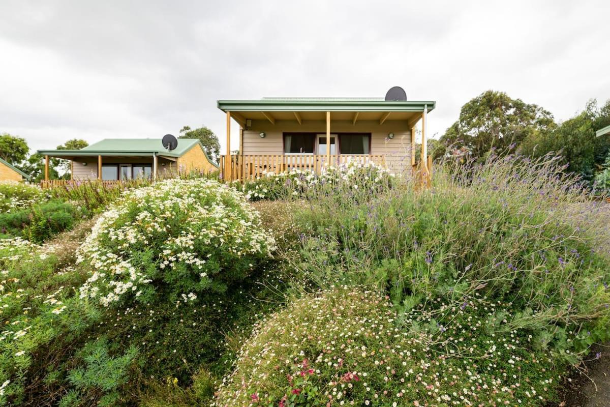 Daysy Hill Country Cottages Port Campbell Εξωτερικό φωτογραφία