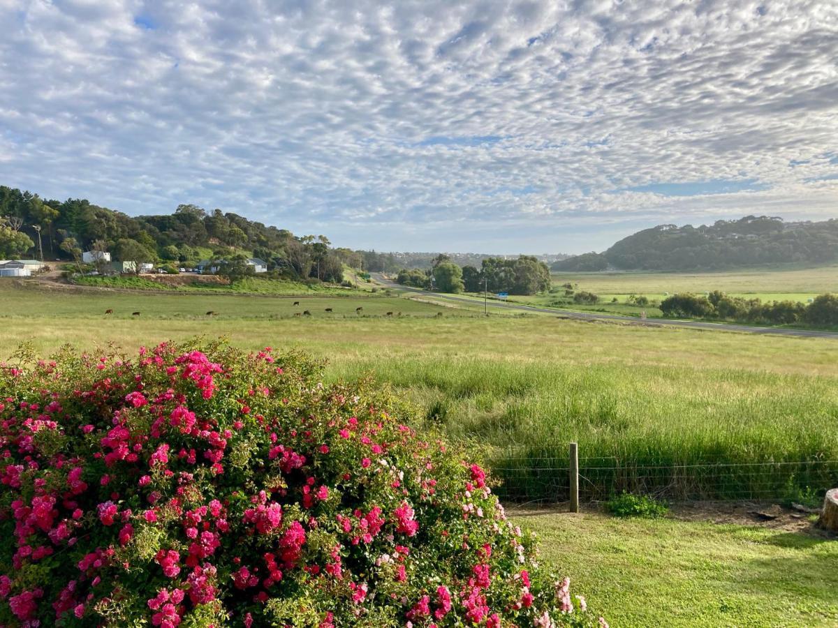 Daysy Hill Country Cottages Port Campbell Εξωτερικό φωτογραφία